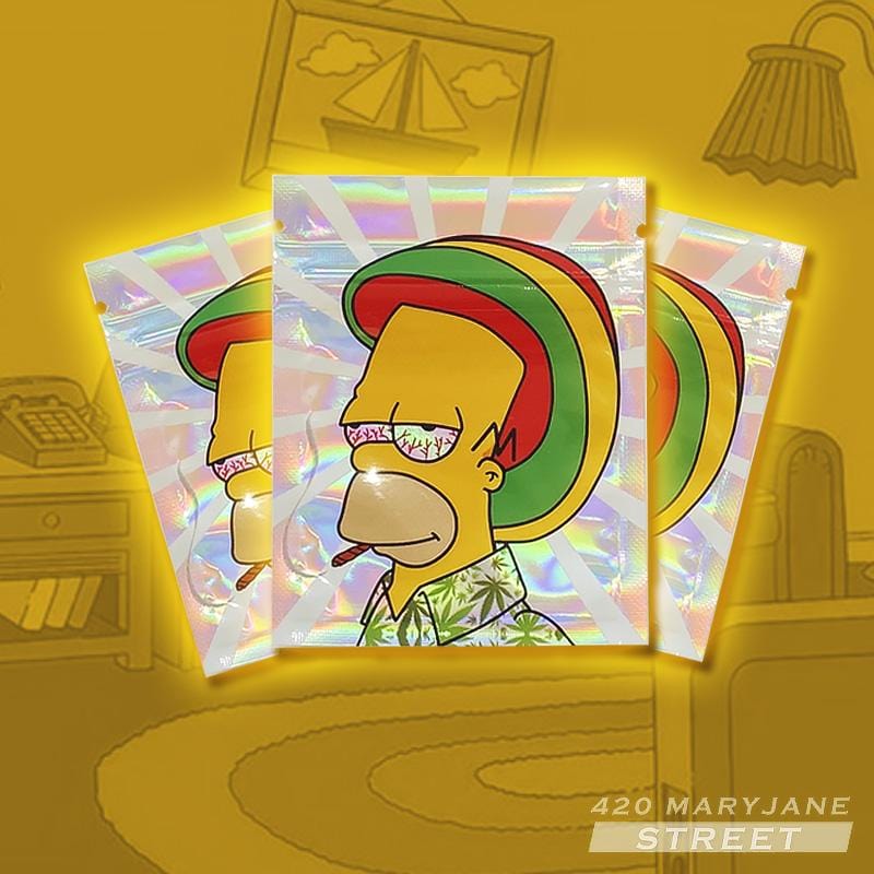 pochon homer simpson